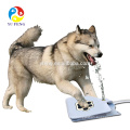 Novo Cão de Estimação Ao Ar Livre Gato Água Potável Fountain Dog Waterer Beber Fonte de Água Doce Ferramenta Criativa Brinquedos Do Cão Acessórios